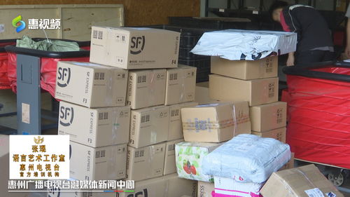 雙十一惠州網友熱衷“血拼”食品，快遞公司迎來攬件高峰